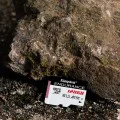 Карта с памет, 128 GB - Kingston Endurance (SDCE/128 GB) - черно / бяло