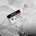 Kingston - Карта памет Endurance (SDCE/32GB) - MicroSD, 32GB, Клас 10, UHS-I U1, A1 - Черен / Бял