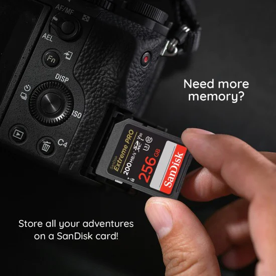 Карта с памет, 64GB, SDXC - SanDisk Extreme Pro (SDSDXXU-064G-GN4IN) - Сив