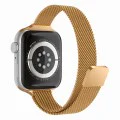 Каишка за Apple Watch 1/2/3/4/5/6/7/8/9/10/SE/SE 2 (38/40/41/42mm) - Watchband (W034) - Techsuit - Луксозно златисто